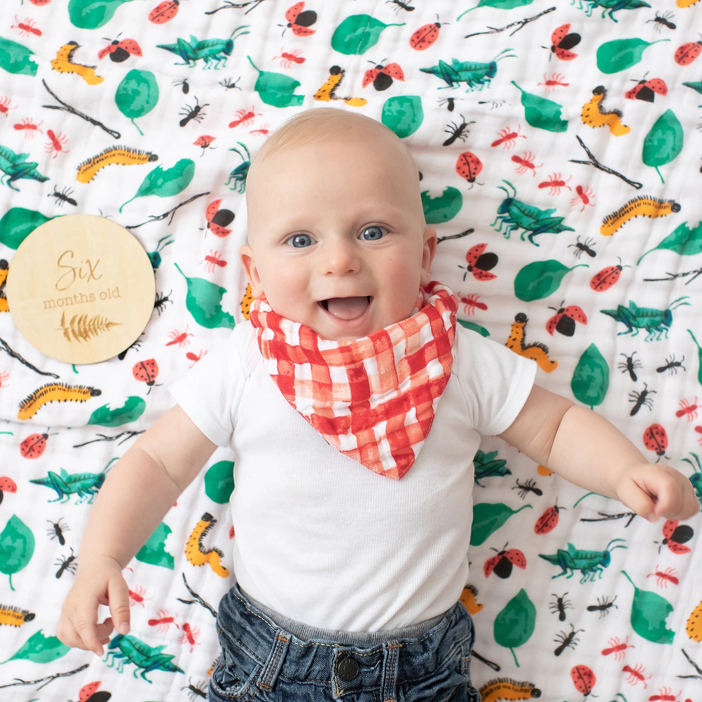 Monthly Baby Milestones Moments Set Wooden Keepsake Disks - Bebe Au Lait