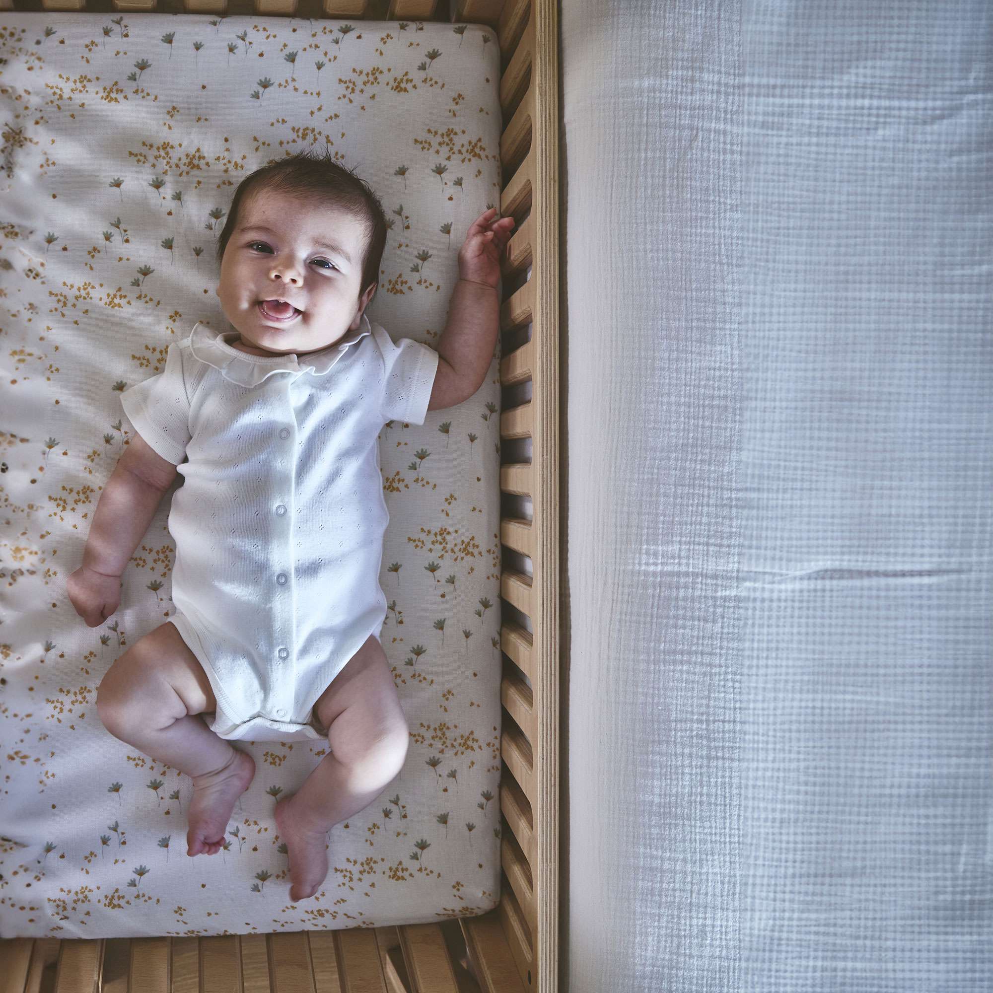 Kodo Bedside Crib to Bench - Charlie Crane