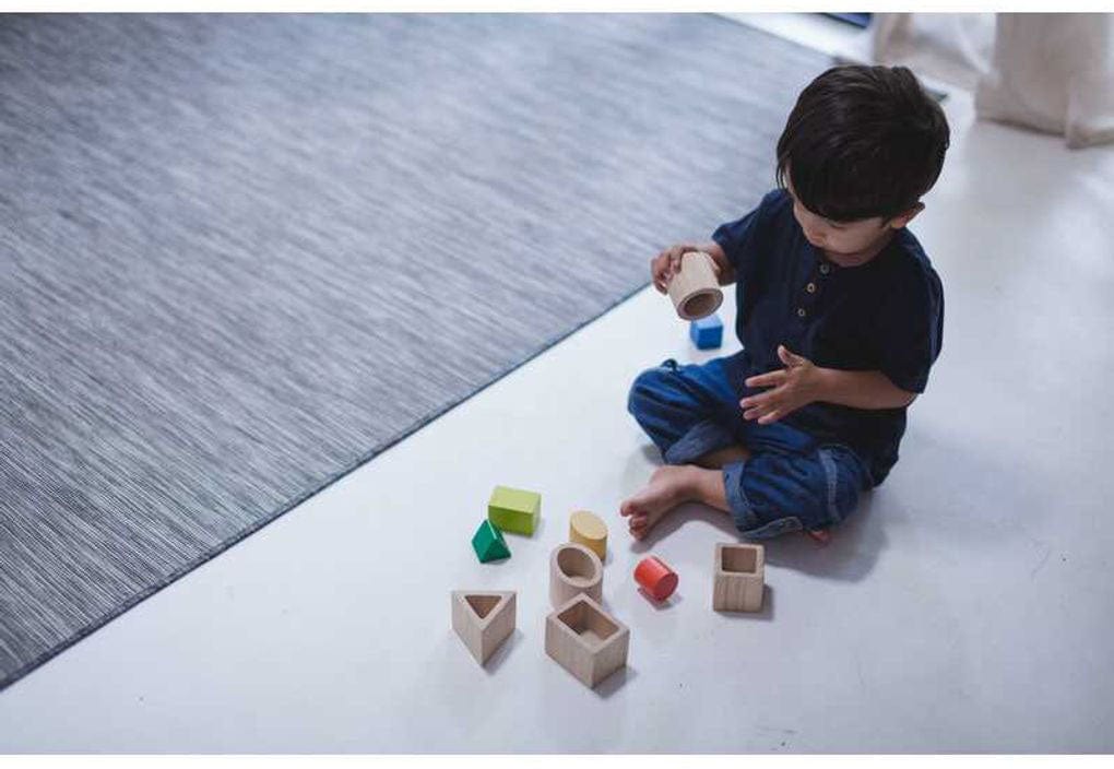 Plan Toys Geo Matching Wooden Blocks Baby & Toddler