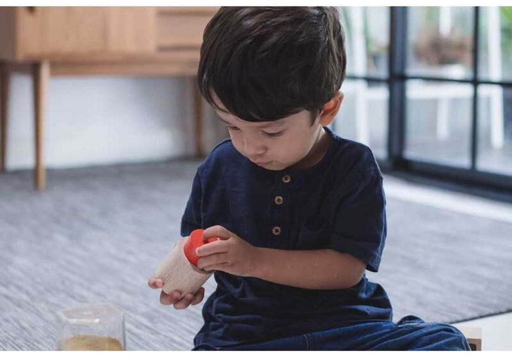 Plan Toys Geo Matching Wooden Blocks Baby & Toddler