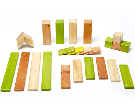 Magnetic Wooden Blocks 24 piece Set Jungle - Tegu