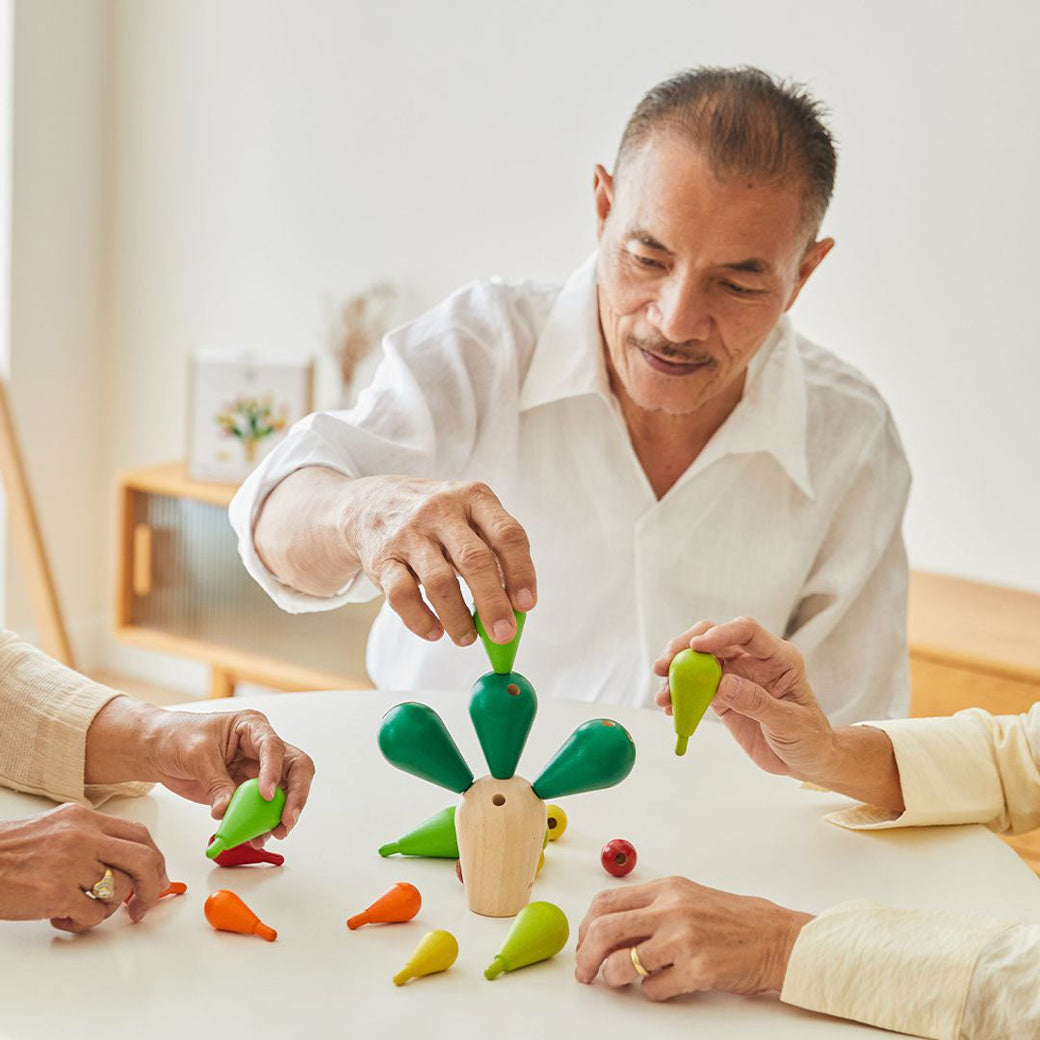 Balancing Cactus - Plan Toys