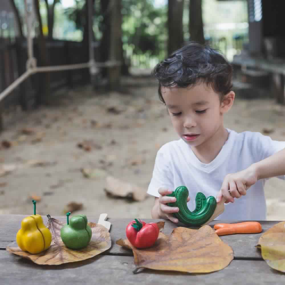 Wonky Fruit and Vegetables - Plan Toys