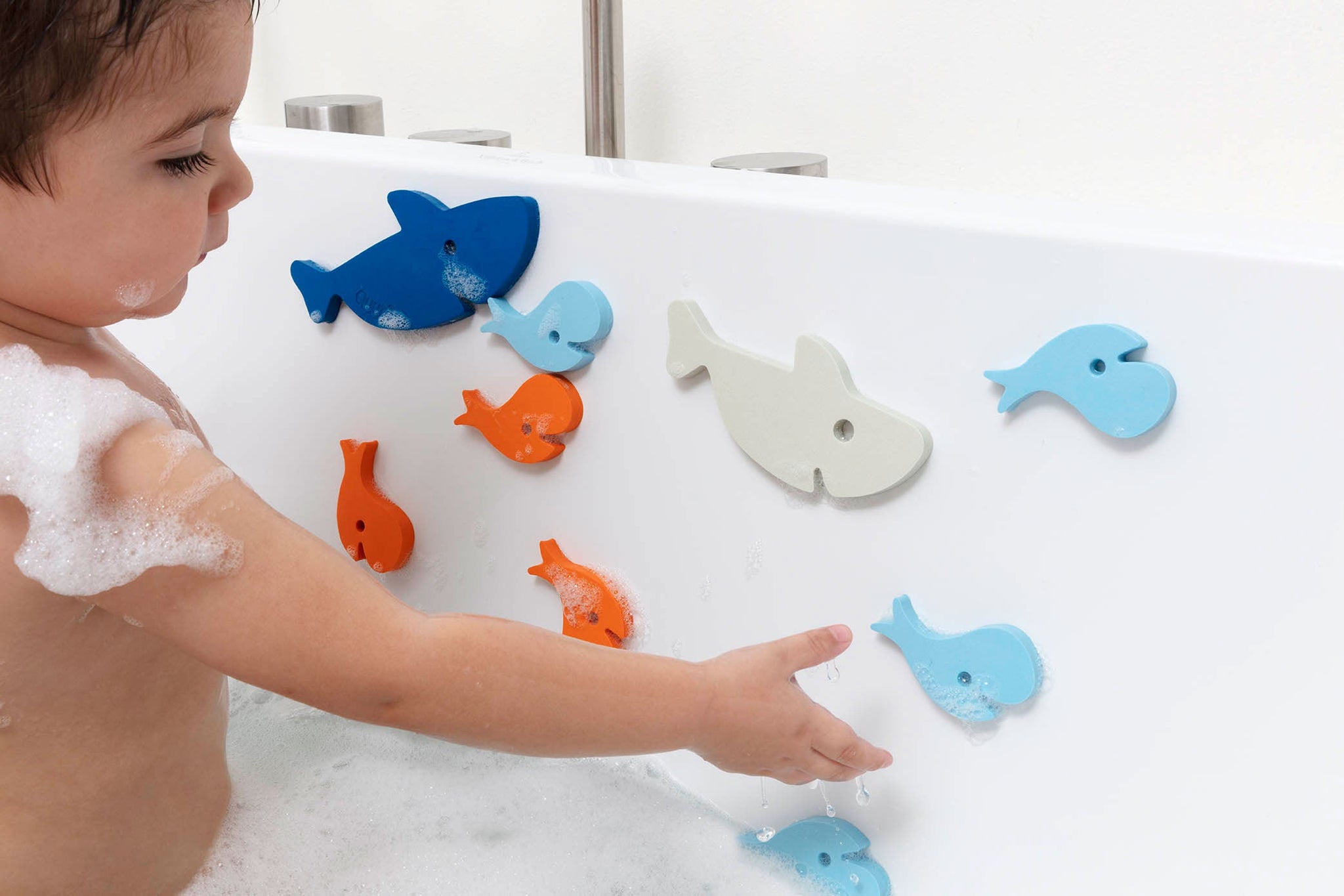 Quutopia Shark Bath Puzzle - Quut