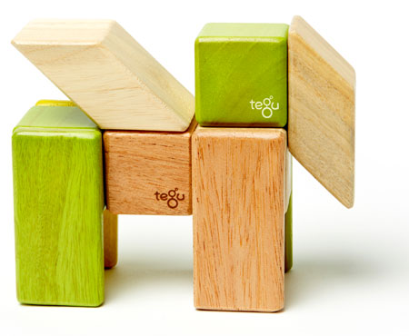 Magnetic Wooden Blocks 24 piece Set Jungle - Tegu