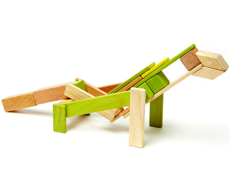 Magnetic Wooden Blocks 24 piece Set Jungle - Tegu