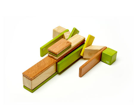 Magnetic Wooden Blocks 24 piece Set Jungle - Tegu