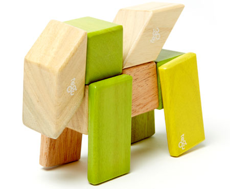 Tegu magnetic blocks 24 piece online