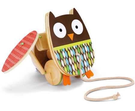 Flapping Owl Pull Toy - Skip Hop