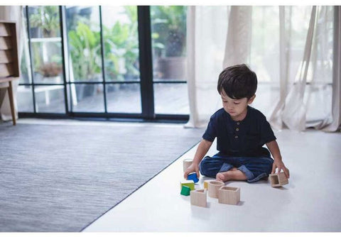 Plan Toys Geo Matching Wooden Blocks Baby & Toddler